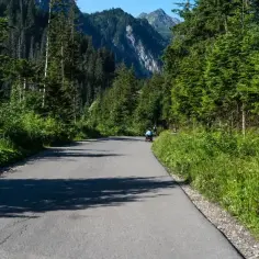 Droga na Morskie Oko wśród zielonych drzew. W oddali widać góry.