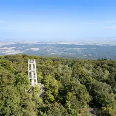 Wieża widokowa na przełęczy tąpadła góruje nad lasem, oferując rozległą panoramę okolicy.