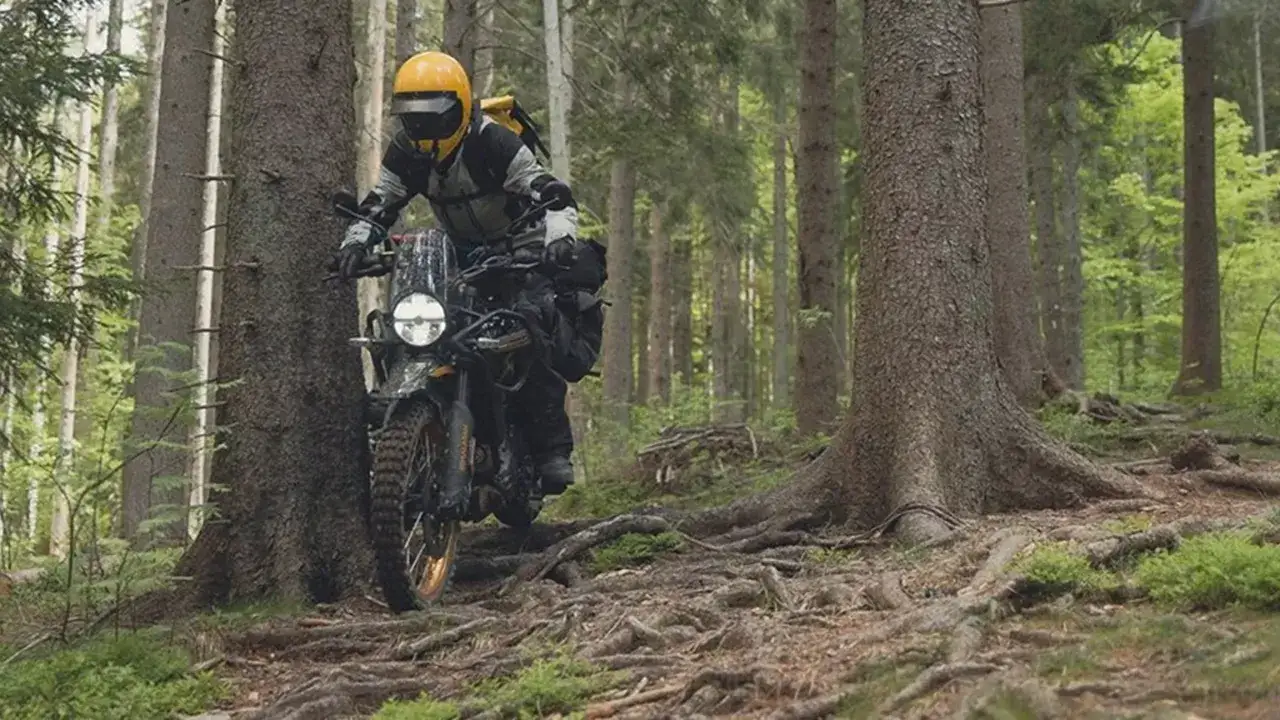Motocyklista w żółtym kasku przemierza leśną ścieżkę na motocyklu Royal Enfield Himalayan, otoczony korzeniami drzew.